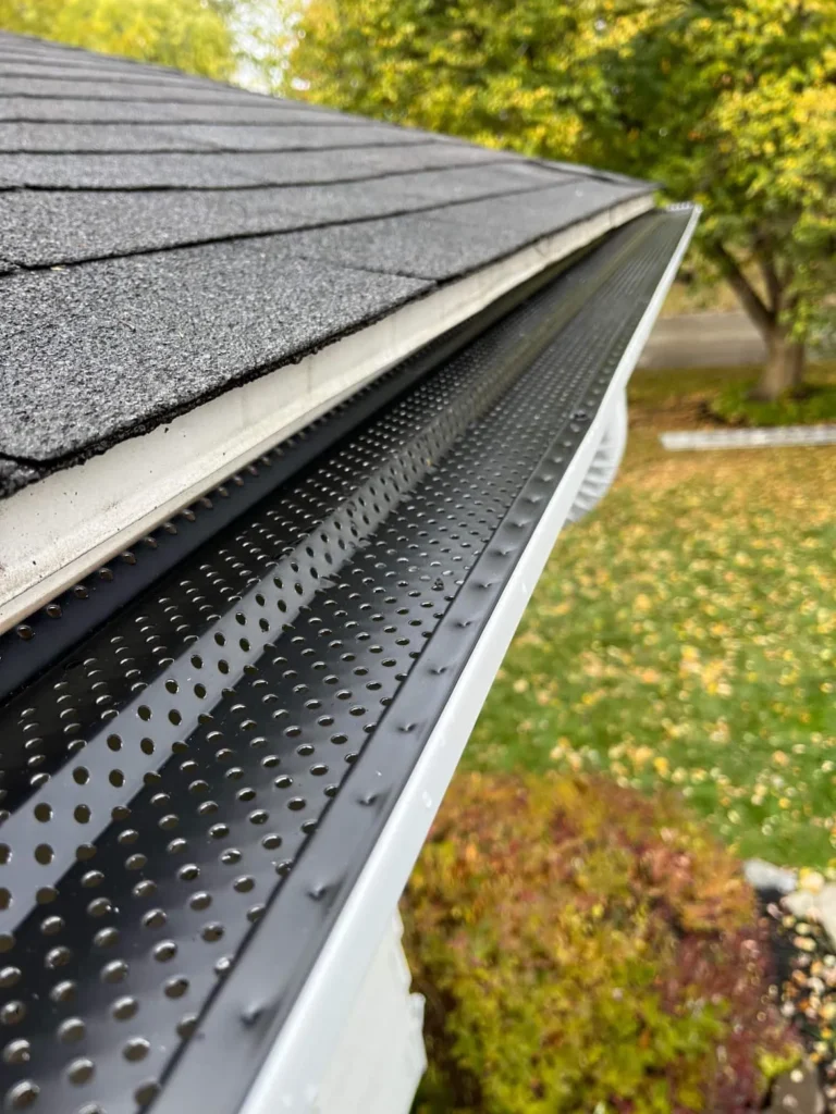 LHI Gutter services